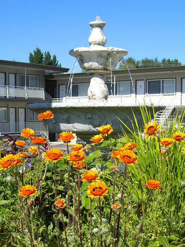 Comox Valley Inn & Suites Courtenay Ngoại thất bức ảnh